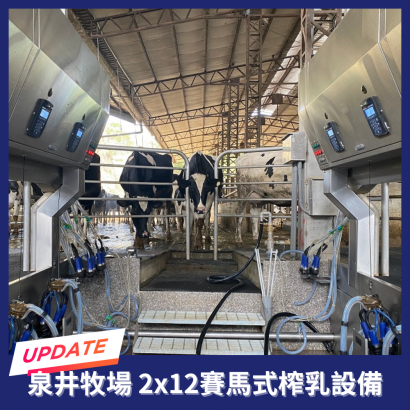 泉井牧場 2x12 iMilk600 
賽馬式升降榨乳機 
實裝照片